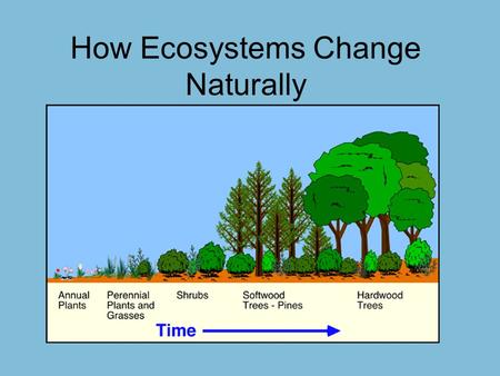 How Ecosystems Change Naturally. What changes will you see?