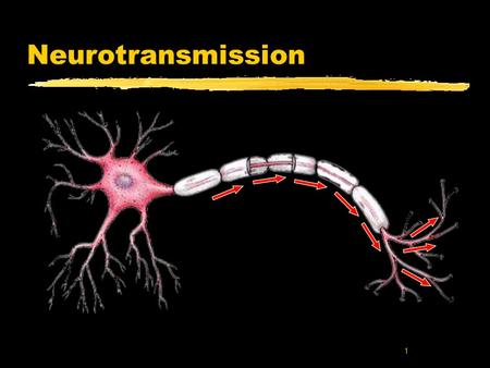1 Neurotransmission. 2 How neurons communicate zNeurons communicate through an electrical signal called the Action Potential zAction Potentials may be.