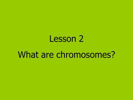 Lesson 2 What are chromosomes?.