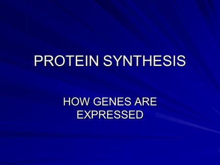 PROTEIN SYNTHESIS HOW GENES ARE EXPRESSED. BEADLE AND TATUM-1930’S One Gene-One Enzyme Hypothesis.