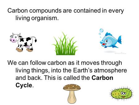 Carbon compounds are contained in every living organism.
