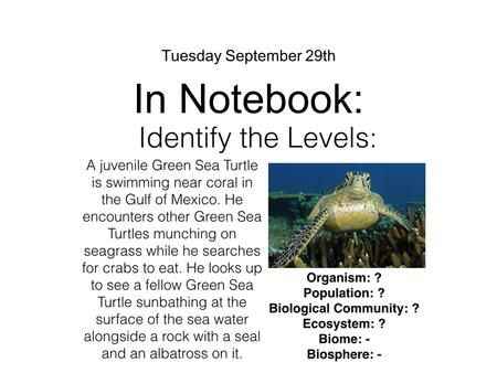 Tuesday September 29th In Notebook:. Today’s Learning Targets Agenda: 1.Finish Levels of Organization Poster 2.Show off poster! 3.Start Biogeochemical.