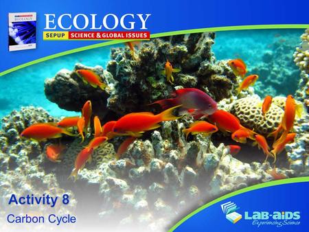 Carbon Cycle. Activity 8: Carbon Cycle LIMITED LICENSE TO MODIFY. These PowerPoint® slides may be modified only by teachers currently teaching the Science.