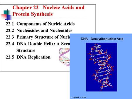 DNA. DNA RNA DNA Backbone Structure Alternate phosphate and sugar (deoxyribose), phosphate ester bonds.