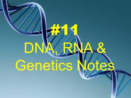 DNA, RNA & Genetics Notes