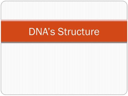 DNA’s Structure. The Shape of DNA DNA has a shape called a Double Helix When flattened out it would look like a ladder.