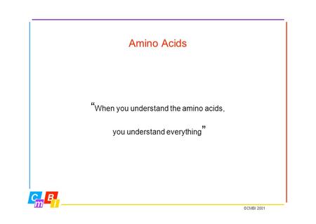 Amino Acids ©CMBI 2001 “ When you understand the amino acids, you understand everything ”