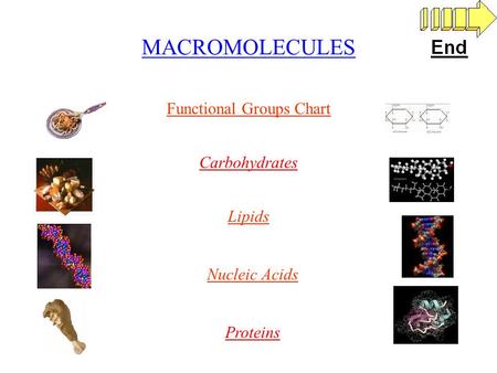 MACROMOLECULES Carbohydrates Lipids Nucleic Acids Proteins Functional Groups Chart.