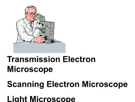 Transmission Electron Microscope Scanning Electron Microscope Light Microscope.