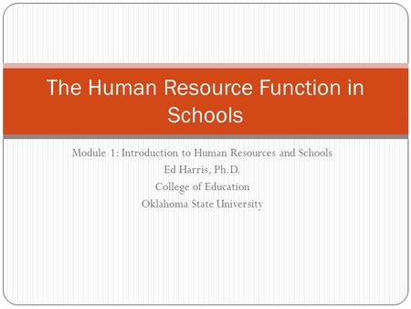 The Human Resource Function in Schools