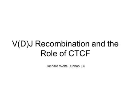 V(D)J Recombination and the Role of CTCF Richard Wolfe; Xinhao Liu.