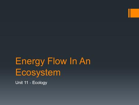 Energy Flow In An Ecosystem Unit 11 - Ecology. Producers  The most important part of an ecosystem  Without a constant energy source, living things cannot.