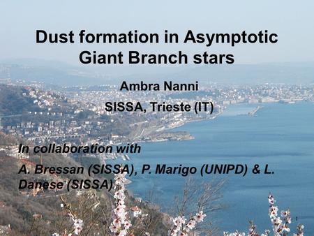 Dust formation in Asymptotic Giant Branch stars Ambra Nanni SISSA, Trieste (IT) In collaboration with A. Bressan (SISSA), P. Marigo (UNIPD) & L. Danese.