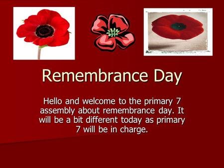 Remembrance Day Hello and welcome to the primary 7 assembly about remembrance day. It will be a bit different today as primary 7 will be in charge.
