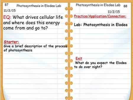11/2/15 Starter: Give a brief description of the process of photosynthesis 11/2/15 Photosynthesis in Elodea Lab Practice/Application/Connection: Lab: Photosynthesis.