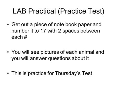 LAB Practical (Practice Test) Get out a piece of note book paper and number it to 17 with 2 spaces between each # You will see pictures of each animal.