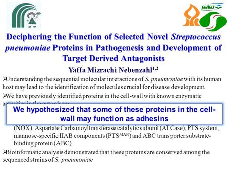 Deciphering the Function of Selected Novel Streptococcus pneumoniae Proteins in Pathogenesis and Development of Target Derived Antagonists Yaffa Mizrachi.