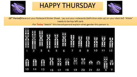 -(6 th Period)Have out your Notecard Sticker Sheet. Lay out your notecards (definition side up) on your desk 6x5 “Allele” needs to be top left card. -For.