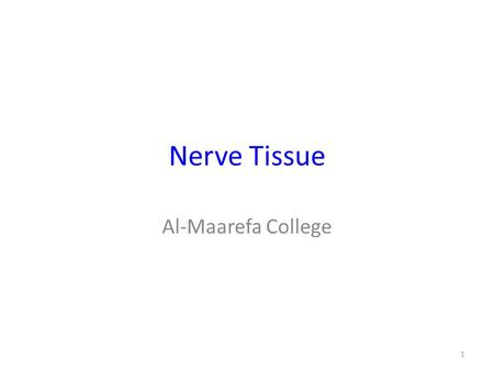 Nerve Tissue Al-Maarefa College 1. Objective Understand the microscopic difference between excitable and non-excitable cells present in the nervous system.