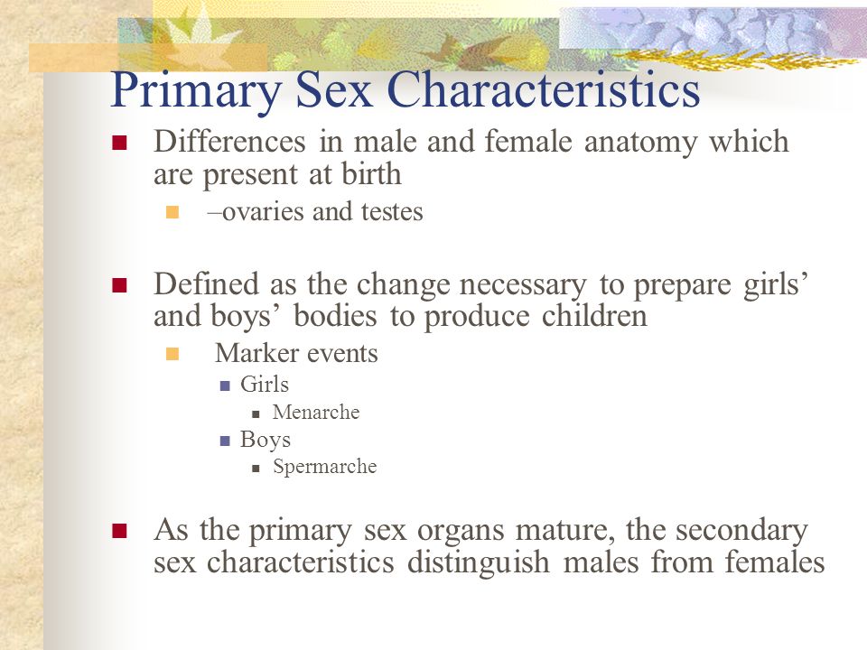 Primary Sex 77