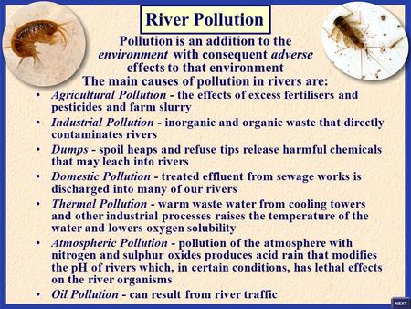 The main causes of pollution in rivers are:
