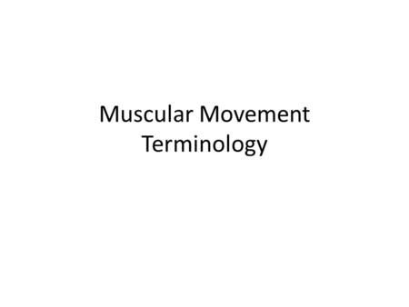 Muscular Movement Terminology. Descriptions of Muscle Movements 1.) During Flexion of Elbow 1. Prime mover (agonist) ex. When biceps brachii contracts.