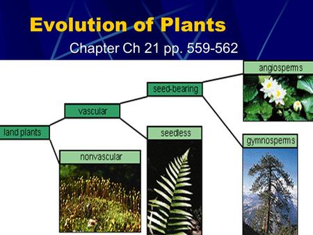 Evolution of Plants Chapter Ch 21 pp. 559-562 pp. 564 Chap 22: pp. 577-579; pp. 581; 584-587; 588-590; 594-597.