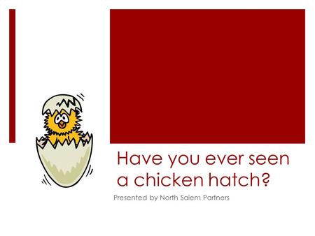 Have you ever seen a chicken hatch? Presented by North Salem Partners.