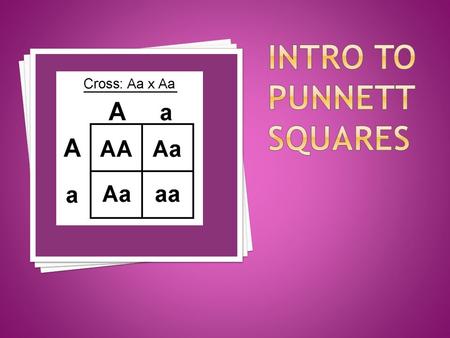  A Punnett square is a grid system for predicting the possible outcome of offspring.