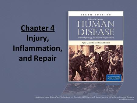 Chapter 4 Injury, Inflammation, and Repair. Review of Structure and Function The body is capable of undergoing dynamic changes to carry out body functions.
