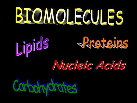 Nucleic Acids. Make two columns on the front. Biomolecule.