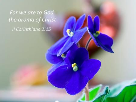 For we are to God the aroma of Christ II Corinthians 2:15.