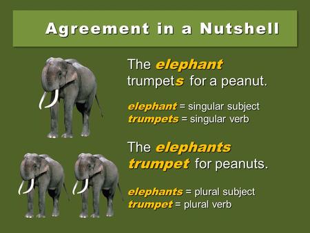 Agreement in a Nutshell The elephant trumpets for a peanut. The elephants trumpet for peanuts. elephant = singular subject trumpets = singular verb elephants.