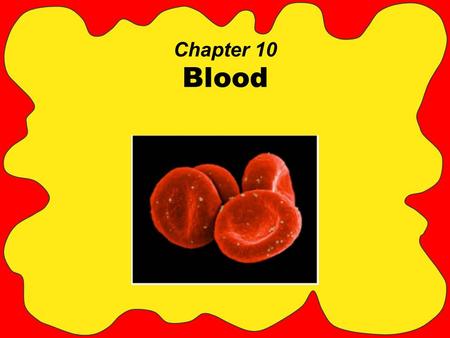 Chapter 10 Blood.