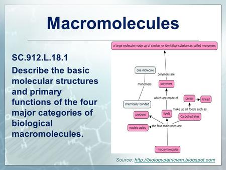 Macromolecules SC.912.L.18.1 Describe the basic molecular structures and primary functions of the four major categories of biological macromolecules.