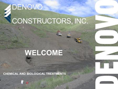 DeNovo Constructors, Inc.
