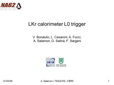 01/04/09A. Salamon – TDAQ WG - CERN1 LKr calorimeter L0 trigger V. Bonaiuto, L. Cesaroni, A. Fucci, A. Salamon, G. Salina, F. Sargeni.