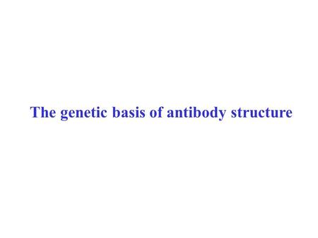 The genetic basis of antibody structure