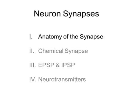 Neuron Synapses I.Anatomy of the Synapse II.Chemical Synapse III.EPSP & IPSP IV.Neurotransmitters.