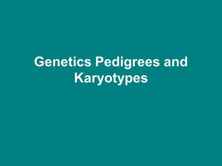 Genetics Pedigrees and Karyotypes. Karyotype What to look for in a karyotype? When analyzing a human karyotype, scientists first look for these main.