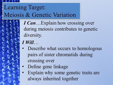 Learning Target: Meiosis & Genetic Variation Learning Target: Meiosis & Genetic Variation I Can…Explain how crossing over during meiosis contributes to.