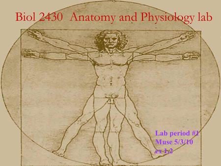 Biol 2430 Anatomy and Physiology lab Lab period #1 Muse 5/3/10 ex 1,2.