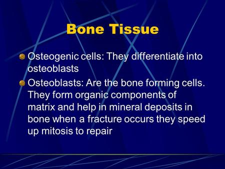 Bone Tissue Osteogenic cells: They differentiate into osteoblasts Osteoblasts: Are the bone forming cells. They form organic components of matrix and help.