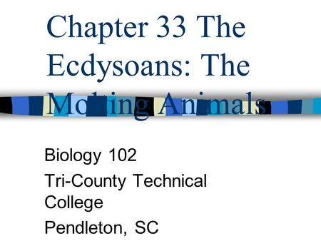 Chapter 33 The Ecdysoans: The Molting Animals Biology 102 Tri-County Technical College Pendleton, SC.