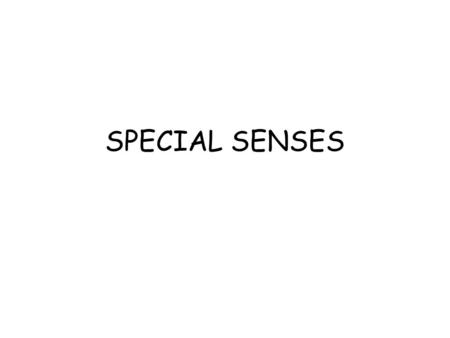 SPECIAL SENSES. THE EYE Properties of light External eye –Palpebra –Eyeball –Protection provided by – –Meibomian glands (eyelashes) –Conjunctiva –Lacrimal.
