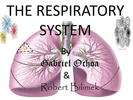 THE RESPIRATORY SYSTEM By Gabriel Ochoa & Robert Bilimek.