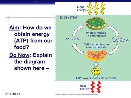 AP Biology Aim: How do we obtain energy (ATP) from our food? Do Now: Explain the diagram shown here – Fig. 9-2 Light energy ECOSYSTEM Photosynthesis in.