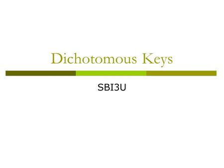 Dichotomous Keys SBI3U.