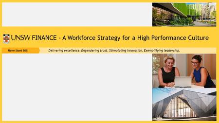 FINANCE - A Workforce Strategy for a High Performance Culture Delivering excellence, Engendering trust, Stimulating Innovation, Exemplifying leadership.
