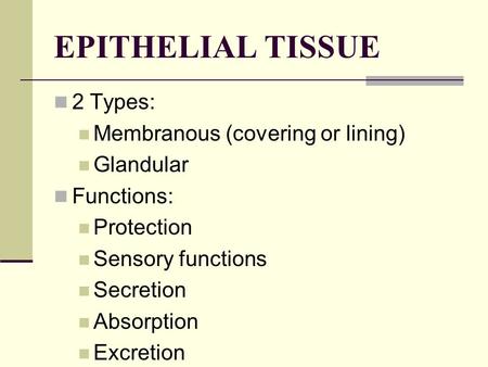 EPITHELIAL TISSUE 2 Types: Membranous (covering or lining) Glandular Functions: Protection Sensory functions Secretion Absorption Excretion.